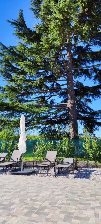 Villa Allegra Vizinada Ngoại thất bức ảnh